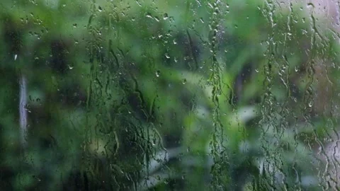 Viewing plants through a glass window covered in raindrops Stock Footage 319886211