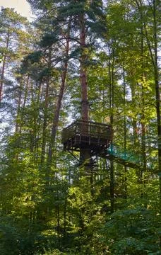 A viewing platform for observing animals and a suspension bridge high up in a Stock Photos