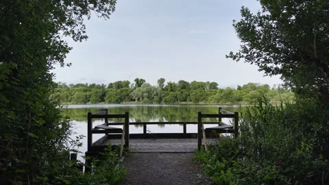 Viewing Platform Over Grantstown Lough in County Laois Ireland Видео 336953325
