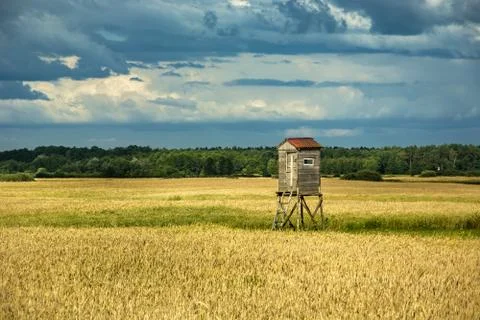 Viewing pulpit in a field of grain and cloudy sky Stock Photos