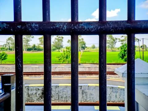 Viewing scenic rice fields and rail tracks through textured iron bars evoke.. Stock Photos