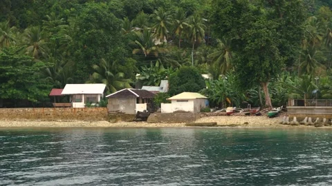 Viewing the shore Stock Footage 155824117