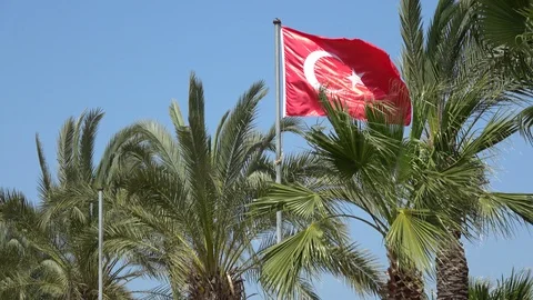Viewing Turkish flag fluttering in the wind and palm trees Stock Footage 128274110