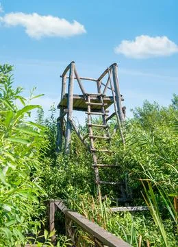 Viewpoint bird watching tower over the delta in Comana Natural park, in Roman Stock-Fotos
