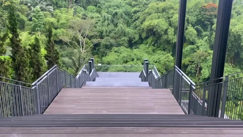 Viewpoint down the outdoor stairs with views of the lush green forest. Stock Footage 320490284