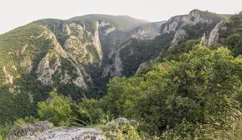 Viewpoint on the Lazarus Canyon Stock-Fotos