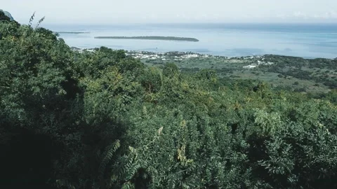 Viewpoint Macchabee, Mauritius Stock Footage 199293985