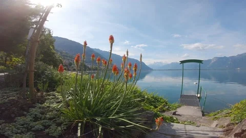 Viewpoint montreux 動画素材 130912502