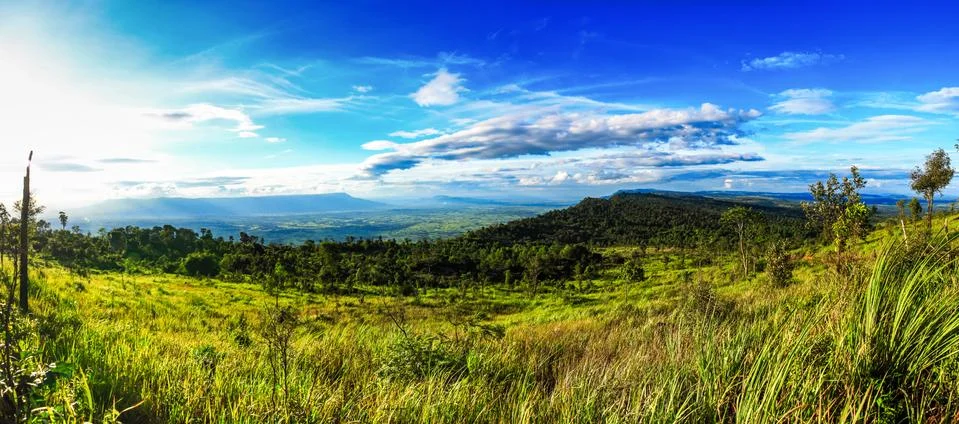 Viewpoint Stock Photos