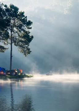 Viewpoint sunlight shine pine forest on foggy reservoir in morning at pang ou Stock Photos