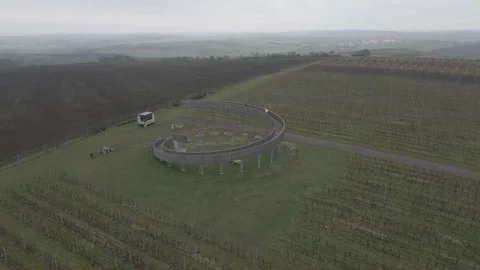 Viewpoint on a vineyard hill top Stock Footage 232484919