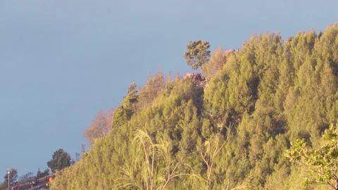 Viewpoints for watching sunrise covered with a thick forest at golden hour Stock Footage 93847477