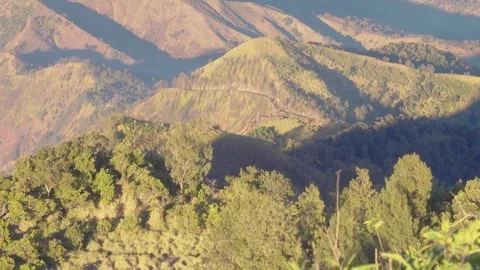 Viewpoints for watching sunrise covered with a thick forest at golden hour Stock Footage 93847941