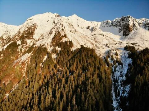 Views from Alaska Stock Photos