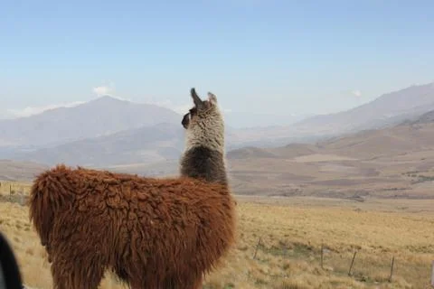 Views of Argentina Stock Photos