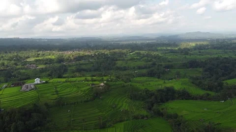 Views of Bali Stock Footage 311306259