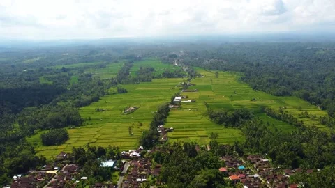 Views of Bali Stock Footage 311306304