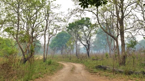 Views of Bardiya in Nepal Stock Footage 324594497