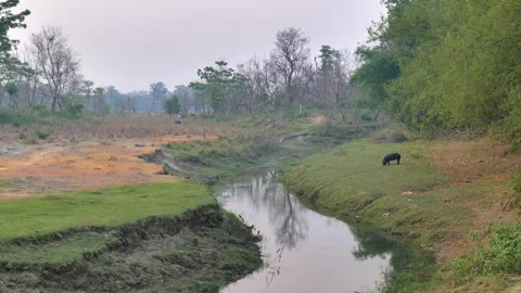 Views of Bardiya in Nepal Stock Footage 324594504