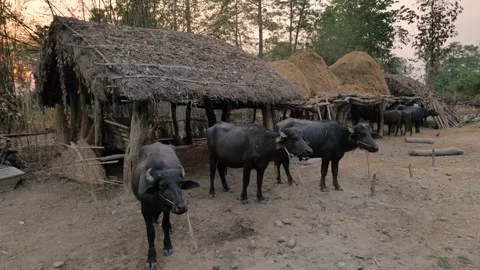 Views of Bardiya in Nepal Stock Footage 324594505