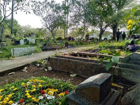Views of cemeteries Stock Photos