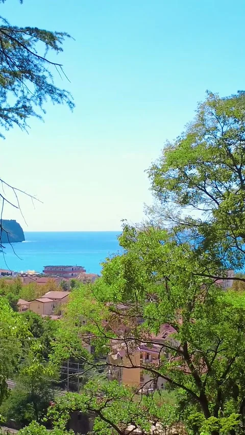 Views of a Coastal Town From a Hillside With Trees and Blue Ocean Stock Footage 322934677