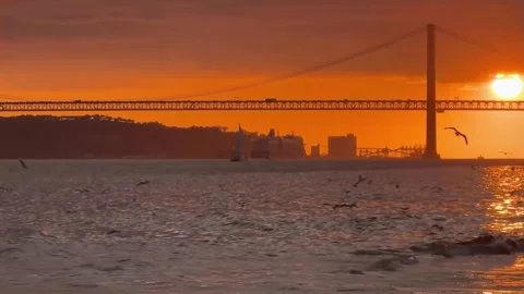 Views from the commerce square at sunset Stock Footage 307210098