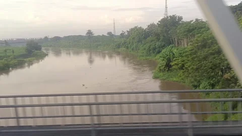 Views of dense trees and stretches of river along the railway line Stock Footage 264231981