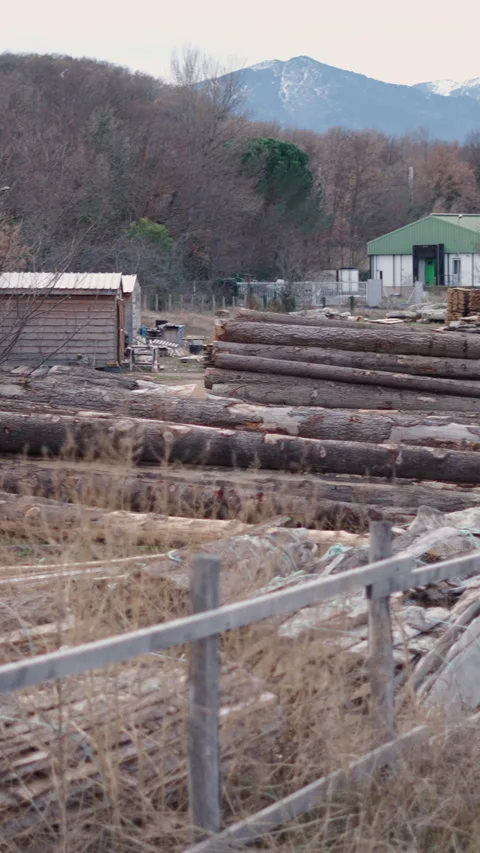 Views of an enclosure full of stacked logs Stock Footage 273170097