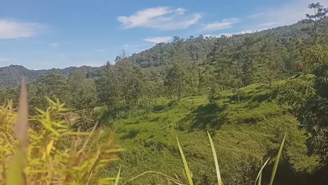 Views of expansive green hills Stock Footage 289355738