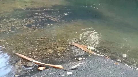 Views of flowing river water Stock Footage 238923982