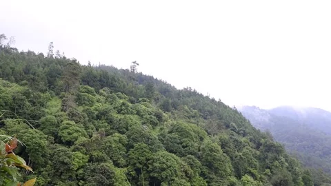 Views of fresh hills and trees with cloudy and cool clouds at the sidomukti.. Stock-Footage 231879971