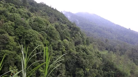 Views of fresh hills and trees with cloudy and cool clouds at the sidomukti.. Stock-Footage 231880051