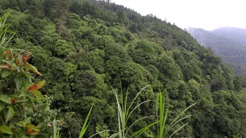 Views of fresh hills and trees with cloudy and cool clouds at the sidomukti.. Stock-Footage 231880117