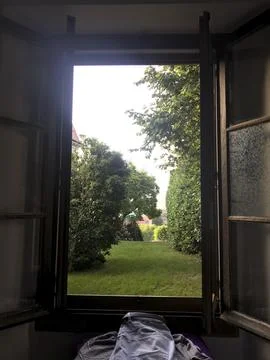 Views of the garden through the window Foto stock