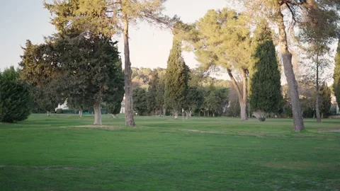 Views of a golf course with trees Stock Footage 270791612