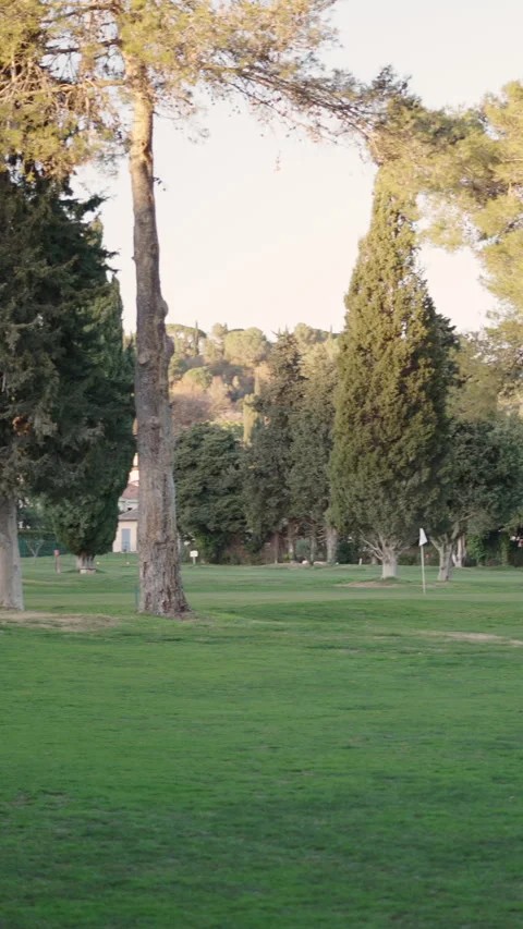 Views of a golf course with trees Stock Footage 272800891