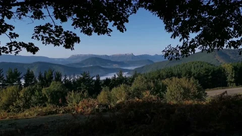 Views of the green fields from a forest Stock Footage 140451295
