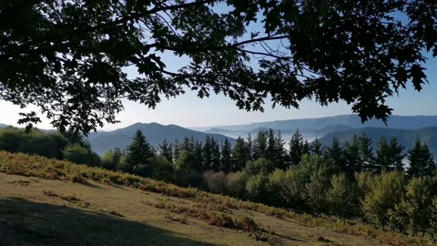 Views of the green fields from a forest Stock Footage 140451365