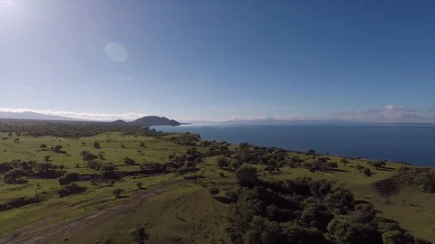 Views of the Hill Beach Trees and Savanna in Sumbawa Indonesia Stock Footage 118686129