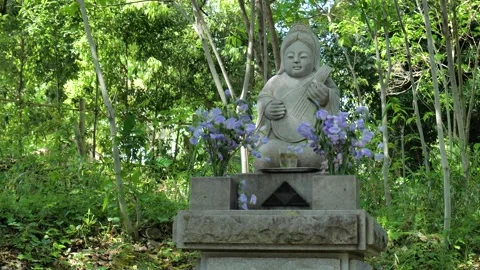 Views of Japan Stock Footage 323880535