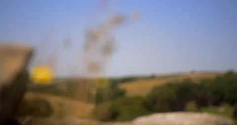 Views of Llansteffan Castlte Stock Footage 227133328