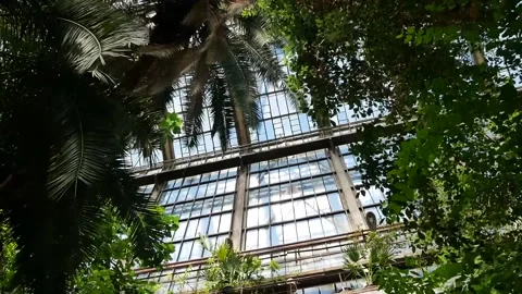 Views of the mall in post-apocalyptic times  Stock Footage 158680855