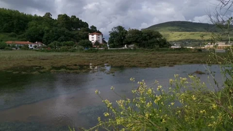 Views of the marshes of Pobea Stock Footage 132263083