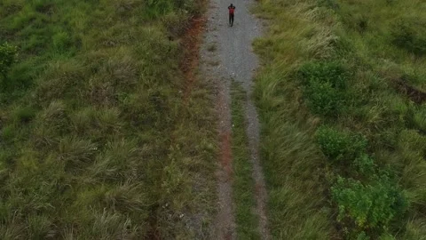 Views of meadows and mountains using drones Video stock 235372301