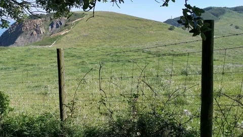 Views of the meadows from the forest Stock Footage 131458453
