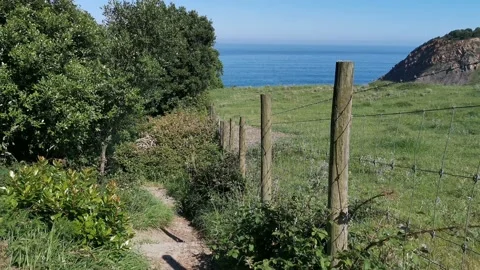 Views of the meadows from the forest Stock Footage 131458547