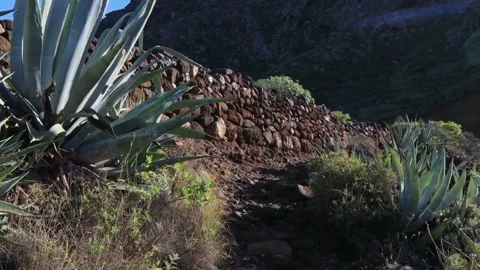 Views of mountain roads Stock Footage 233654149