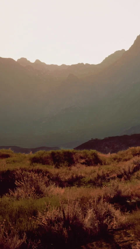 Views of mountains during sunset with trees and grass in foreground Stock Footage 339509635