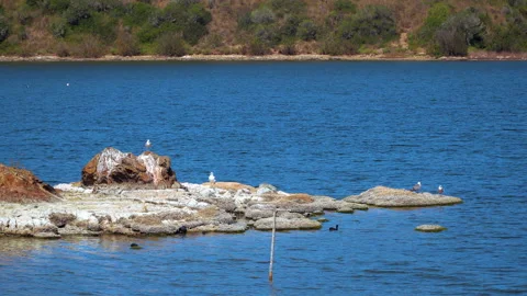 Views of natural landscape Stock Footage 170051567